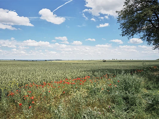 Nachhaltige Landwirtschaft 