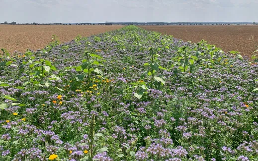 Integriertes Landschaftskonzept